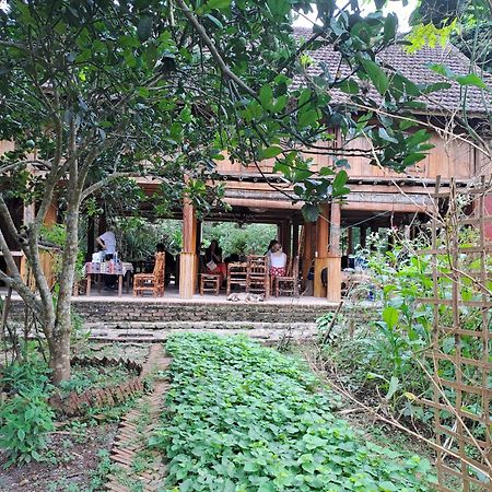 Muong Bi Homestay Hoa Binh Экстерьер фото