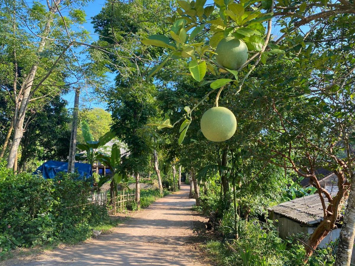 Muong Bi Homestay Hoa Binh Экстерьер фото