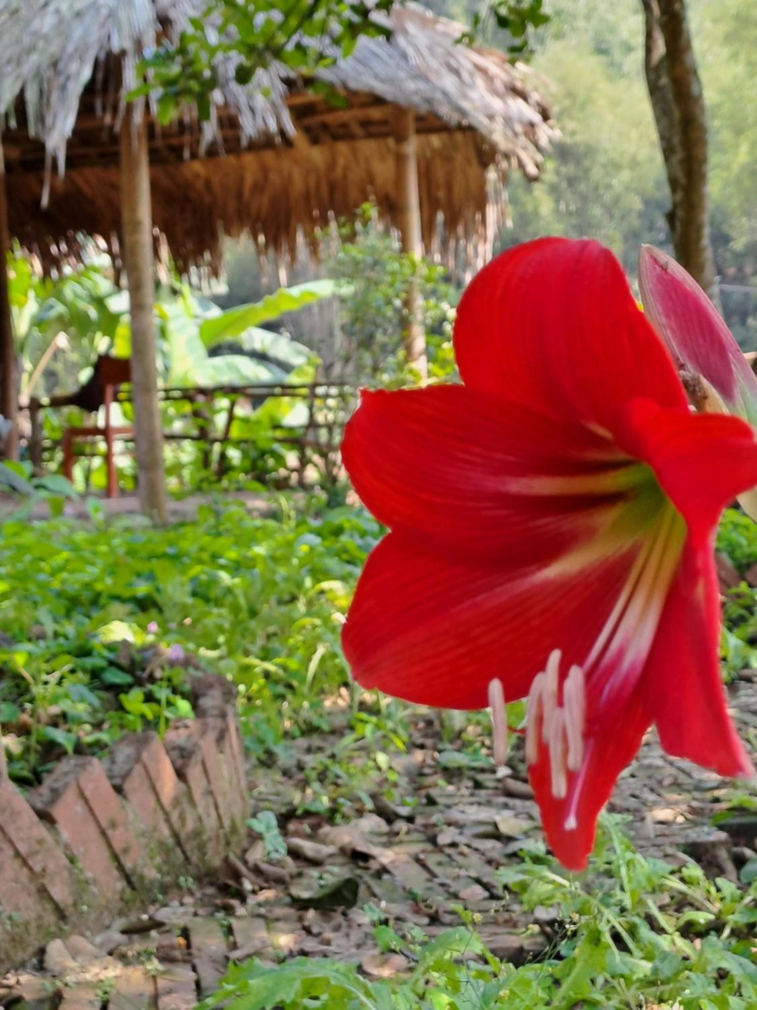 Muong Bi Homestay Hoa Binh Экстерьер фото